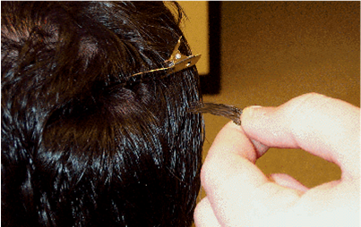 What happens when you take a hair follicle test?